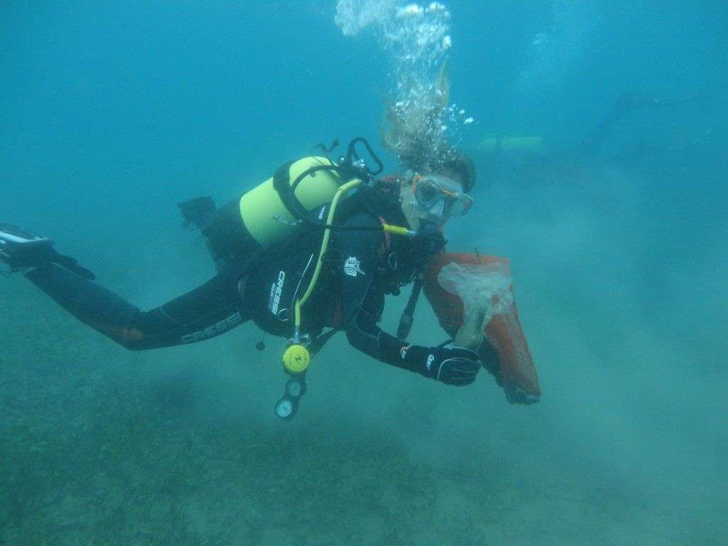 Turgutreis’te Deniz Dibi Temizliği Yapıldı…