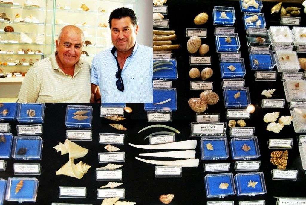 Bu Kabuklar 3 Milyon Dolar