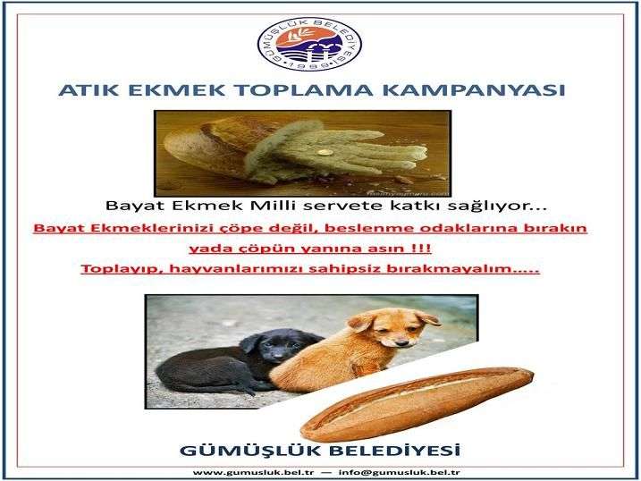 Atık Ekmek Toplama Kampanyası