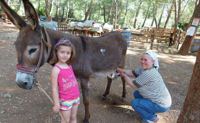 Karakaçan Ailesi Bodrum’da Şifa Dağıtıyor