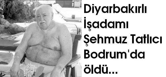 Seyhmus Tatlıcı Bodrum?da Öldü?
