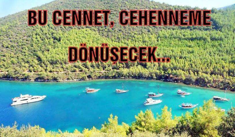 Cennet Koy Nasıl Satıldı? Dakika Dakika…