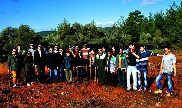 Yanan Ormanlar Yeniden Yeşerecek