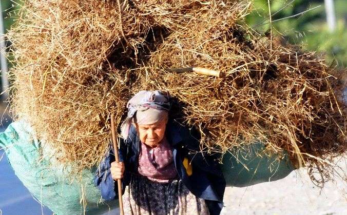 Gadının Adı Vamı? Yoh