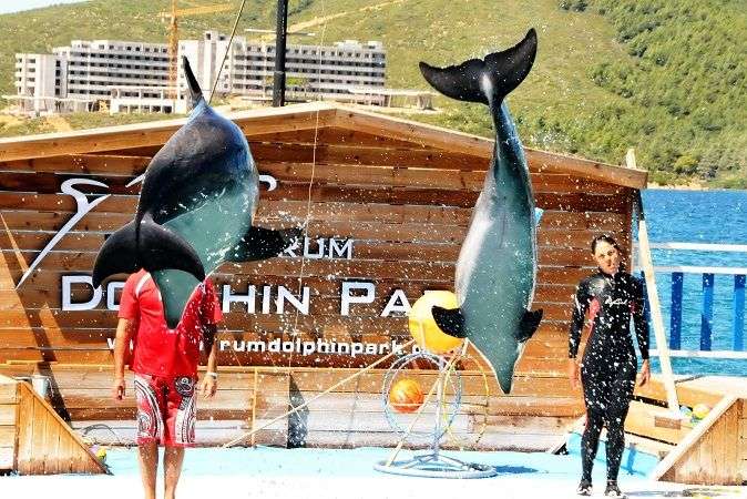 Dünya Çocukları Yunus Parkta Eğlendi