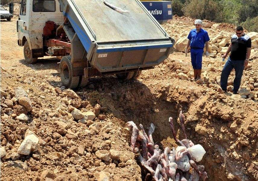 Kaçak Etler İmha Edildi