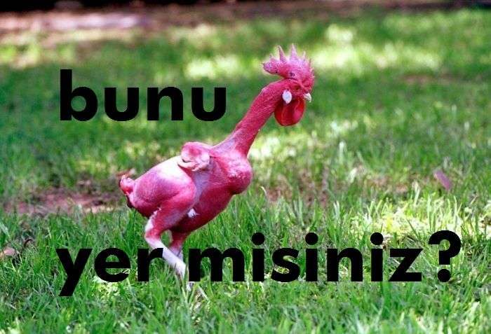 Yemezleeeeer!!!