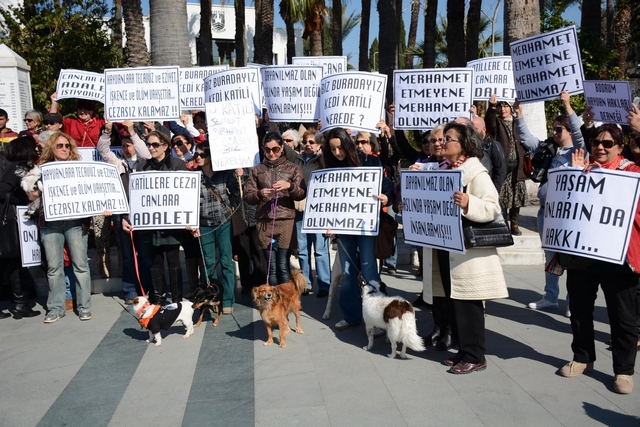 CHP’li Gençler Sokak Hayvanları İçin Tek Yürek