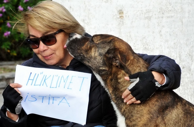 Tek Başına Eylem