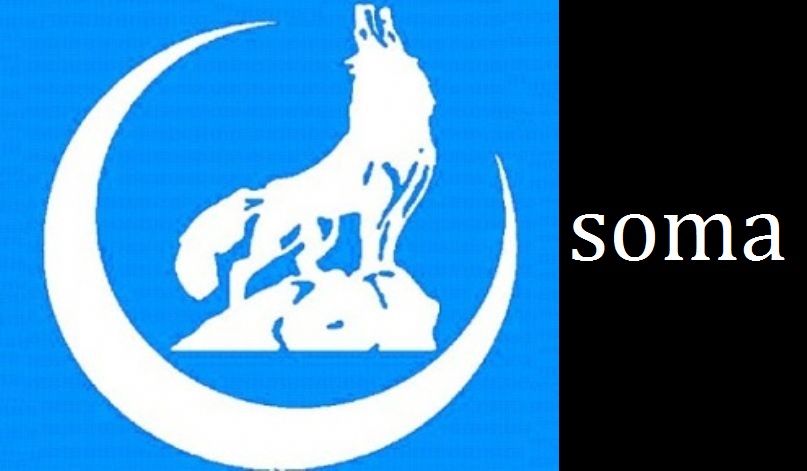 Muğla Ülkü Ocakları SOMA Açıklaması