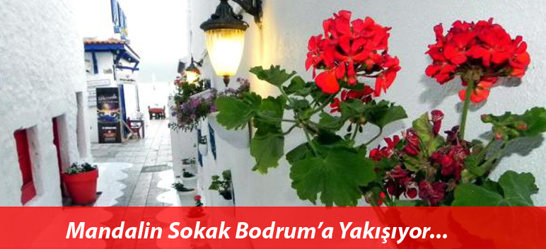Nasıl Olması Gerektiğini Söyleme, YAP