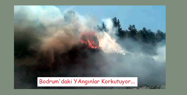 Bodrum’da Çıkan İki Yangın Korkuttu