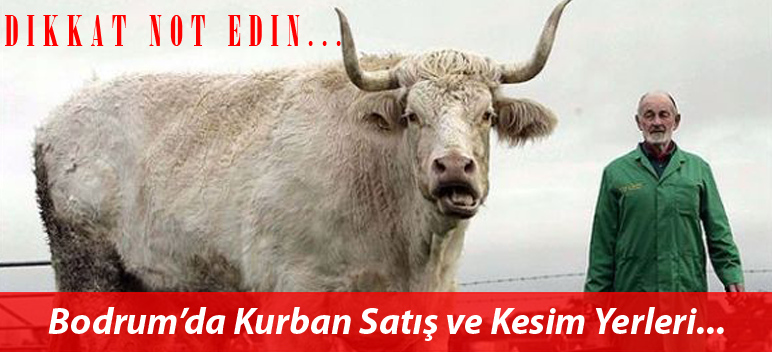 Bodrum Kurbanlık Hayvan Satış Ve Kesim Yerleri Belirlendi