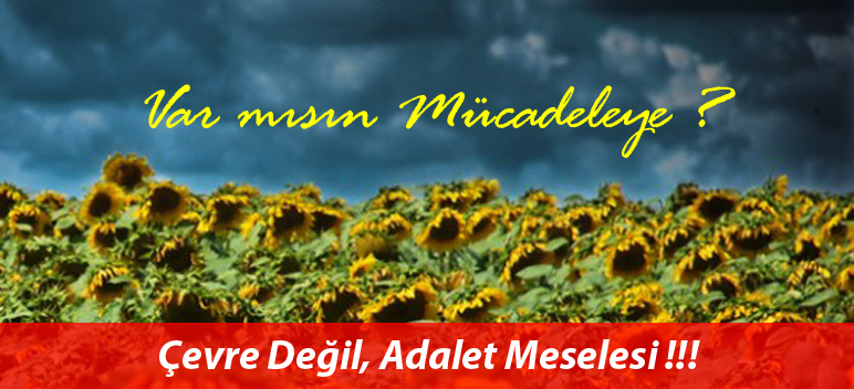 Çevre Değil Adalet Meselesi