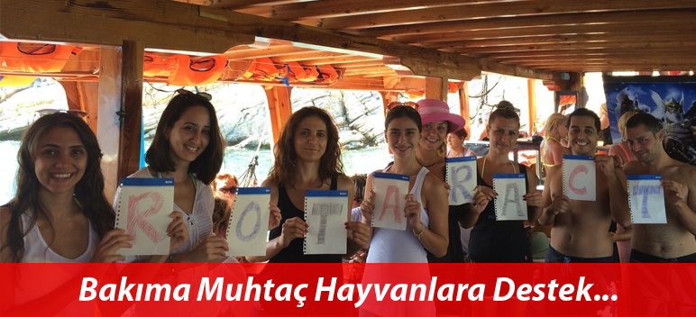 Bakıma Muhtaç Hayvanlara Destek