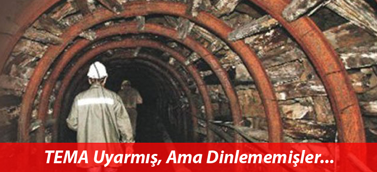 TEMA Kazanın Olacağını Bilmiş