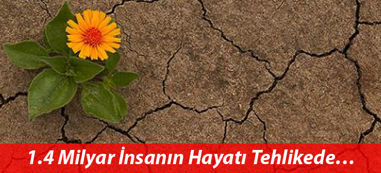 Kuraklık 1.4 Milyar İnsanı Tehdit Ediyor