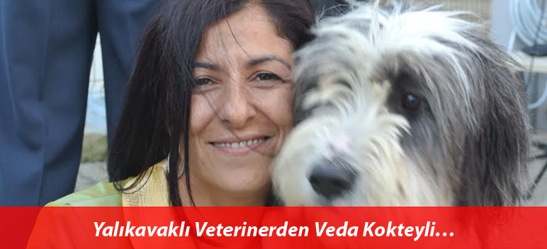 Veda Kokteyli…