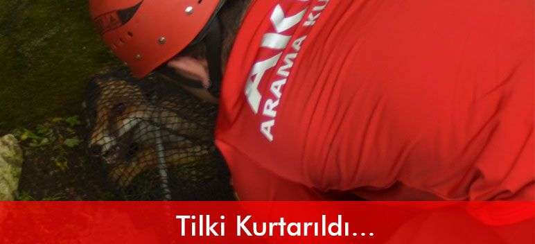 Bodrum’da Tilki Operasyonu
