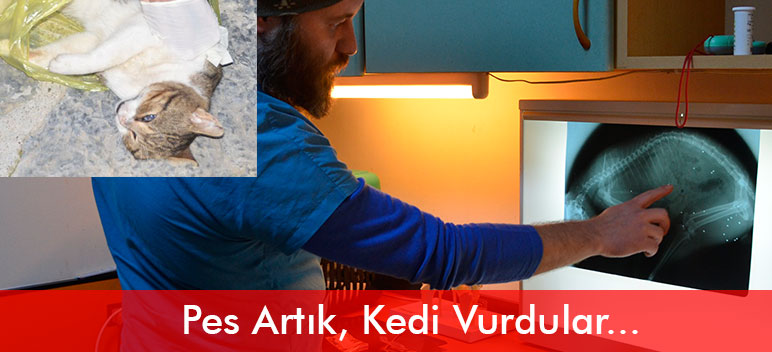 Bu Kadarına da Pes, Bu Bir Vahşet!!!