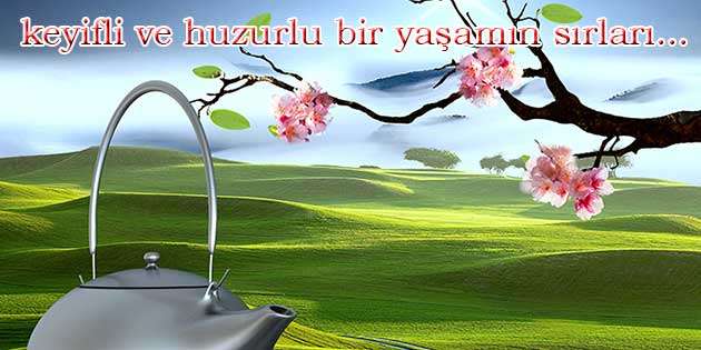 BODRUM’DA ALİSTEZİ VE RADYESTEZİ SEMİNERİ YAPILACAK…