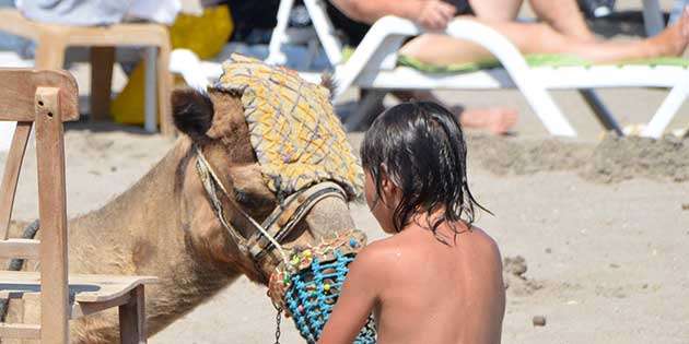 BODRUM ORTAKENT’TE DEVELİ TURİZM…