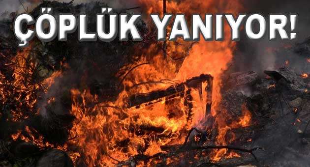 BODRUM ÇÖPLÜĞÜ YANIYOR…