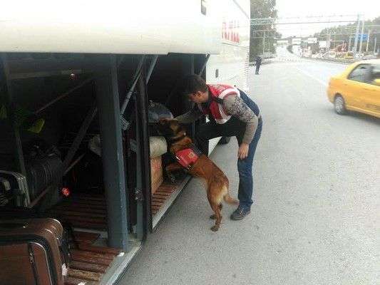 BODRUM İLÇE JANDARMA SUÇLULARA GÖZ AÇTIRMIYOR