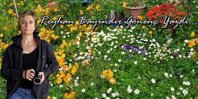 FRANSUVALAR AÇTI AMA… Reyhan Bayındır Gönenç