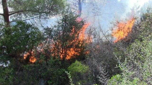 BODRUM’DA YILIN İLK YANGINI YALIÇİFTLİK’TE