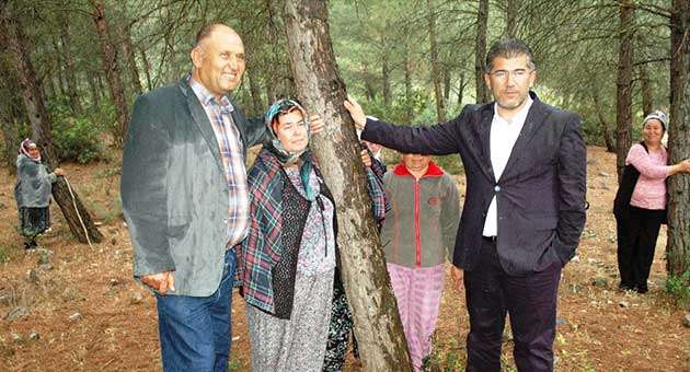 7 BİN FİDANI KESTİRMEM…