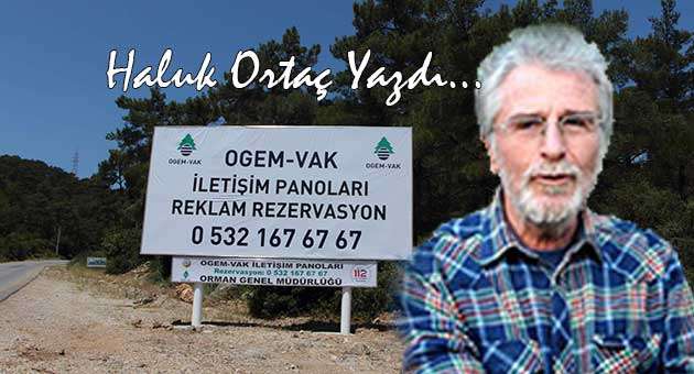 ORMAN YOLUNDA, TÜKETİMİ DÜŞÜNMEK!..