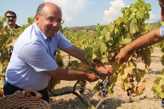 BAĞBOZUMU BULUŞMASI RENKLİ GÖRÜNTÜLERE SAHNE OLDU…