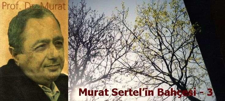 MURAT SERTEL’İN BAHÇESİ – 3
