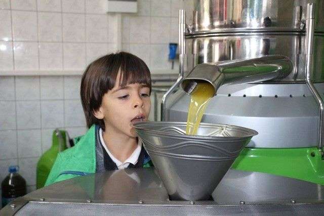 YAŞAMIN ve ÜRETİMİN İÇİNDE EĞİTİM…