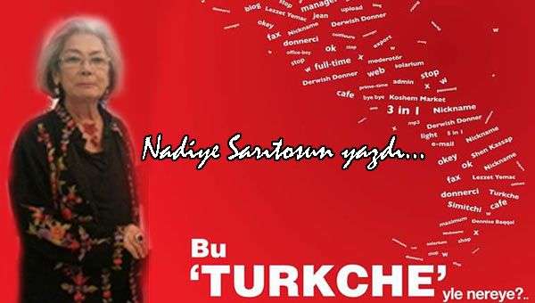 GÜLERİZ AĞLANACAK HALİMİZE / Nadiye Sarıtosun yazıları…