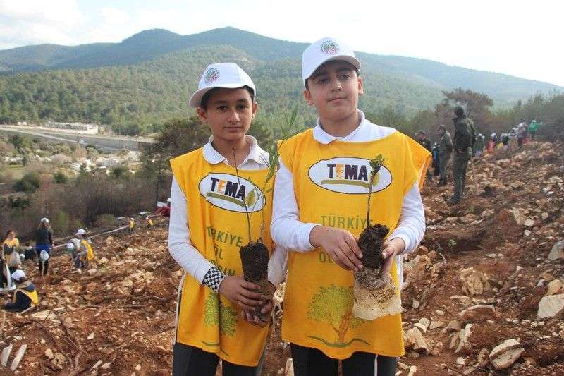 HAYRET!!! YANAN ORMANIN YERİNE YENİ FİDANLAR DİKİLDİ…