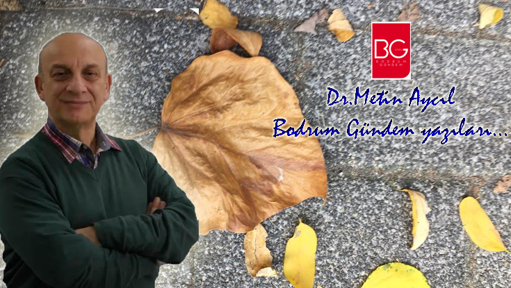 Toprağa Düşen Tohumun Canı Acır mı? Dr.Metin Aycıl Bodrum Gündem yazıları…