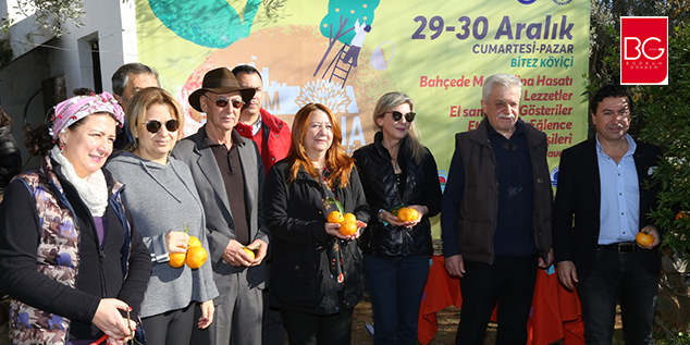 Bodrum Mandalina Hasat Festivali 29 Aralık’ta Başlıyor…