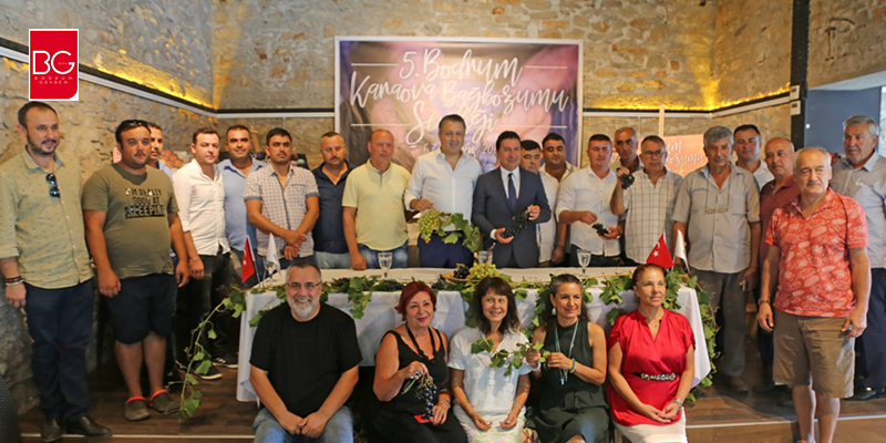 5. Bodrum Karaova Bağ Bozumu Şenliği Başlıyor…