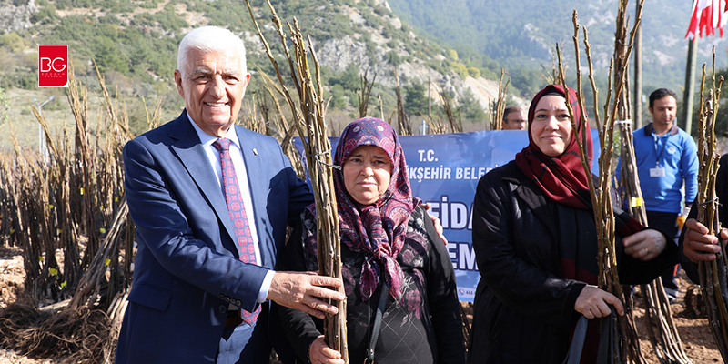 Üreticiye 55 Bin Ceviz Fidanı Desteği…
