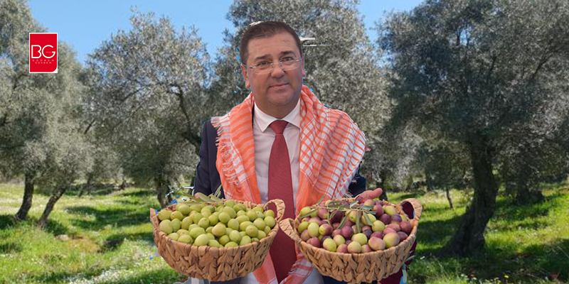 Milas Zeytin Hasat Şenliği’ne Gölge Düştü…