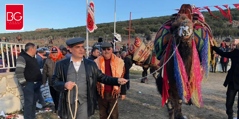 Yatağan’da 190 Deve Güreşti