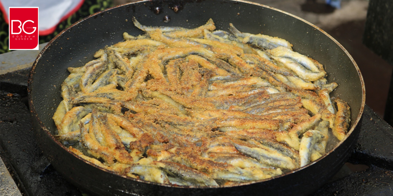 5.Hamsi Festivalinde Karadeniz Rüzgarları Esti…