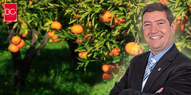 Neden Bodrum Mandarini Festivali?
