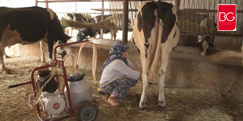 Aile işletmelerine ve üretime destek verilmeli