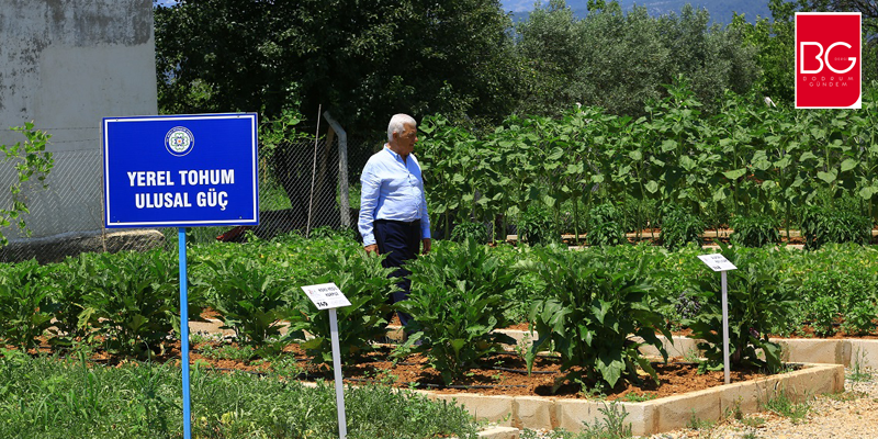 Sözde Değil, Gerçekten Milli
