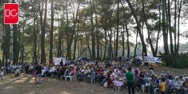 Milas’ta Halk Direndi, Orman Kurtuldu