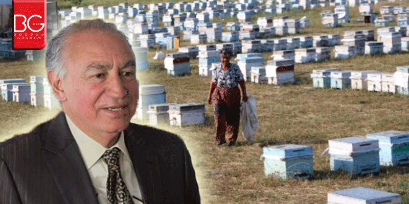 65 Yaş Üstü Arıcılara Haftada İki Gün Kovan İzni