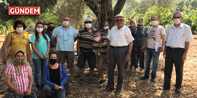 Ziraat Odası Sirke Sineğine Karşı Çiftçileri Bilgilendirdi